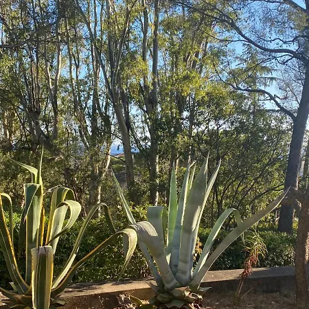 Val D'or * Saint-Raphaël