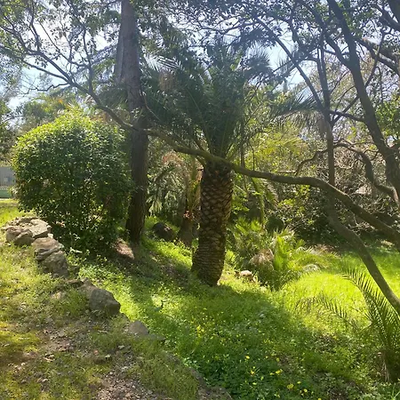 Val D'or Villa Saint-Raphaël